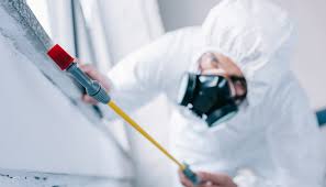 Real Estate Pest Inspections in Comstock Park, MI